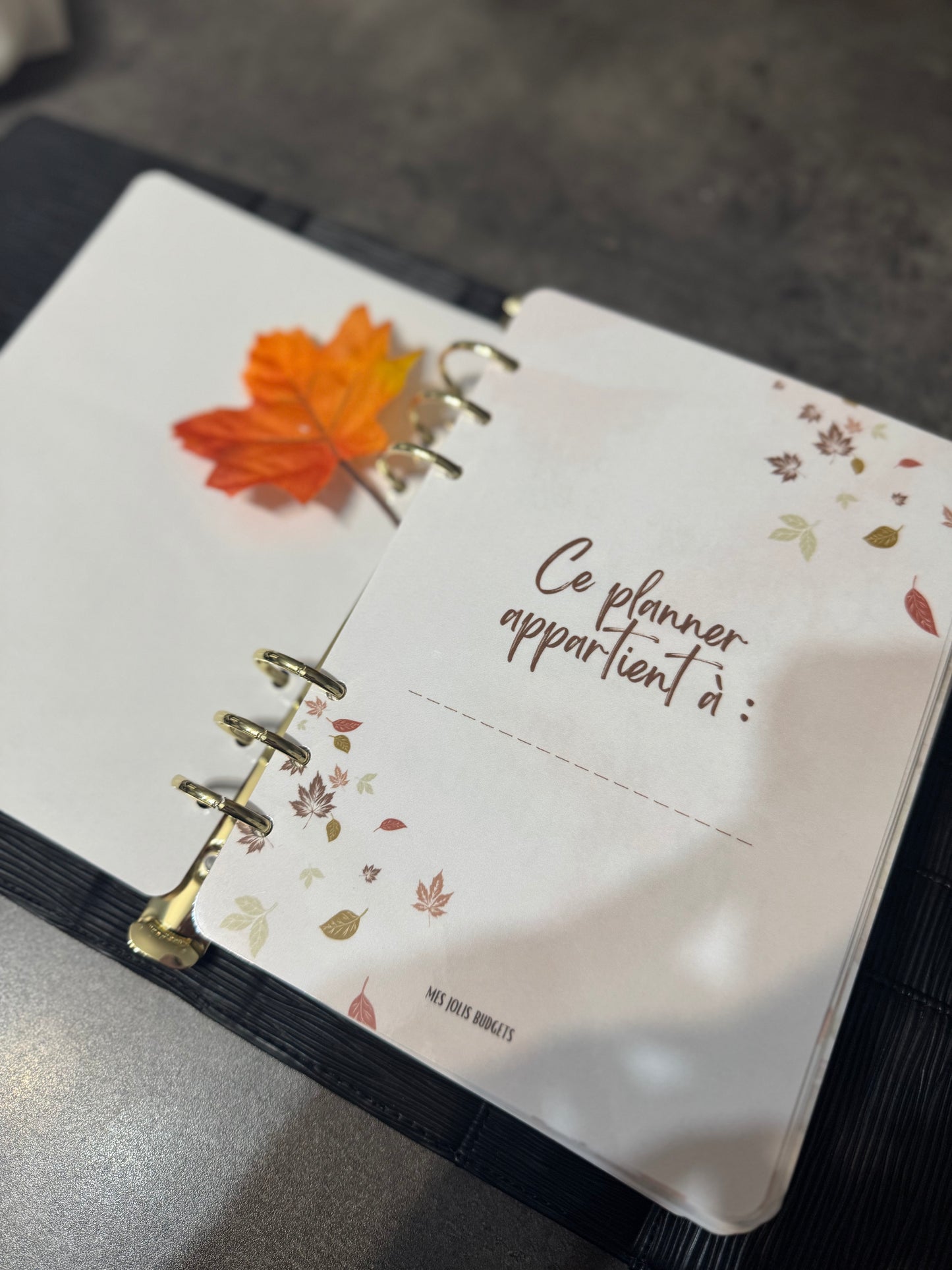 Budget Planner A5 12 mois Version Automnale 🍁