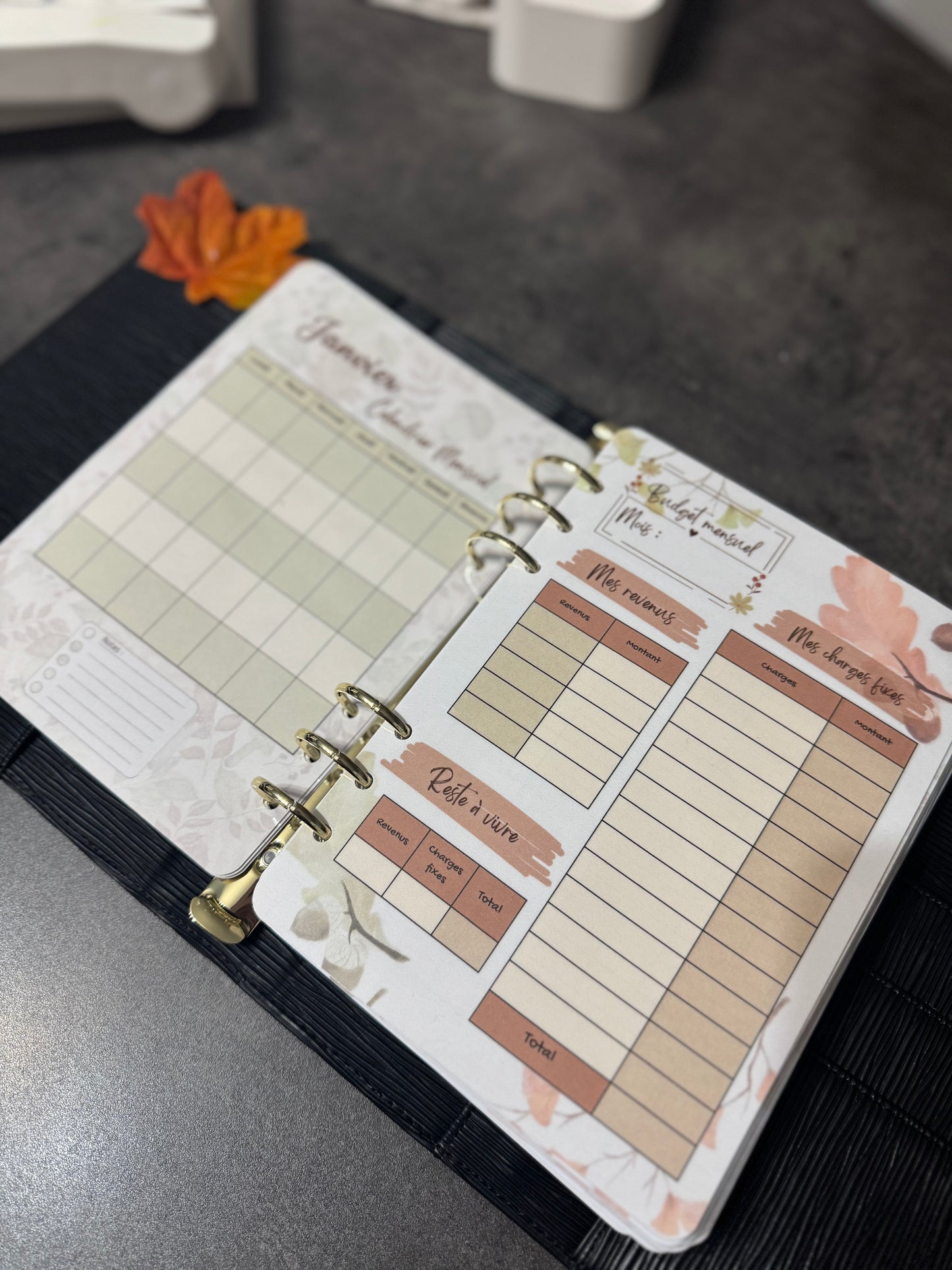 Budget Planner A5 12 mois Version Automnale 🍁
