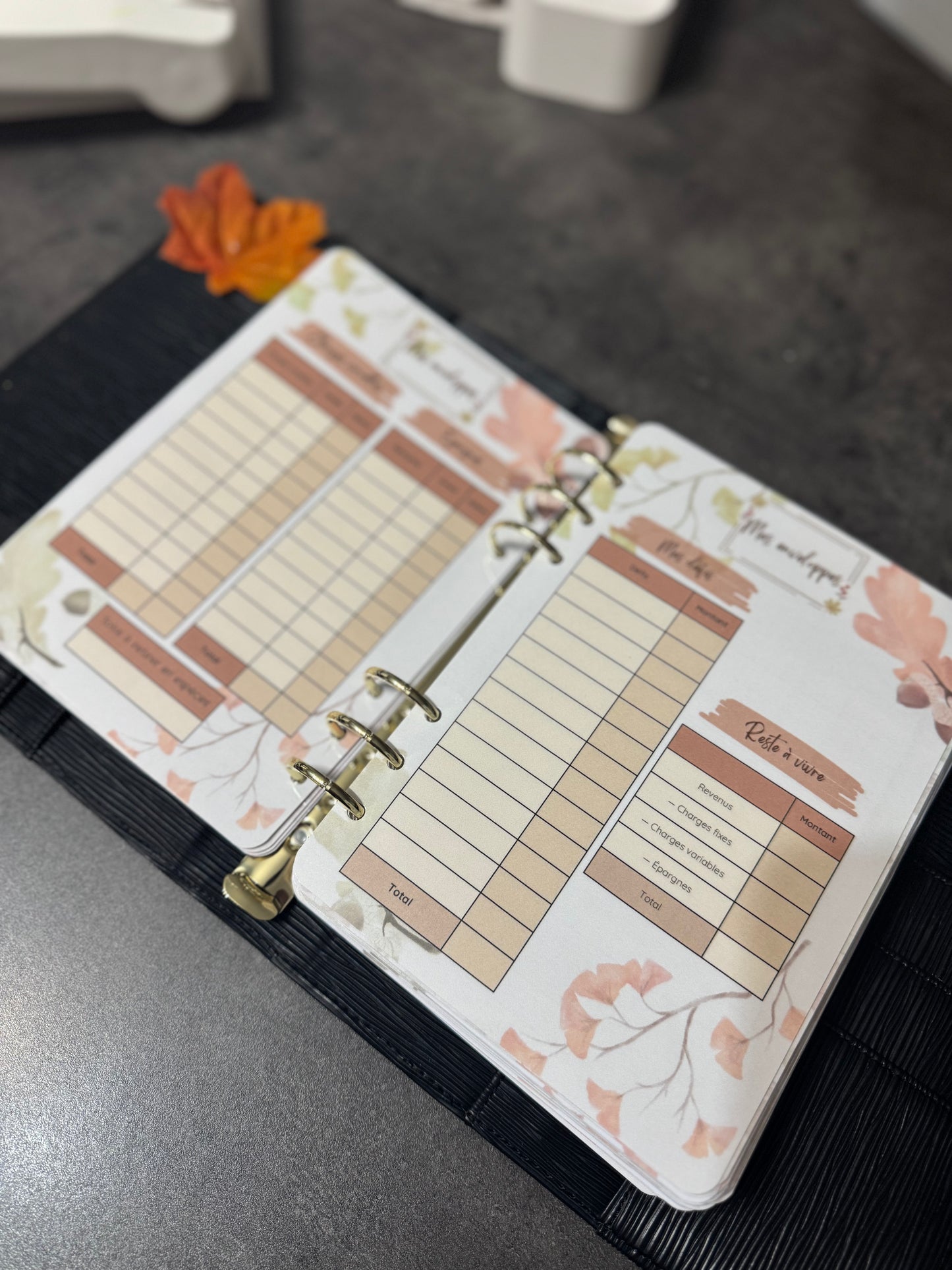 Budget Planner A5 12 mois Version Automnale 🍁