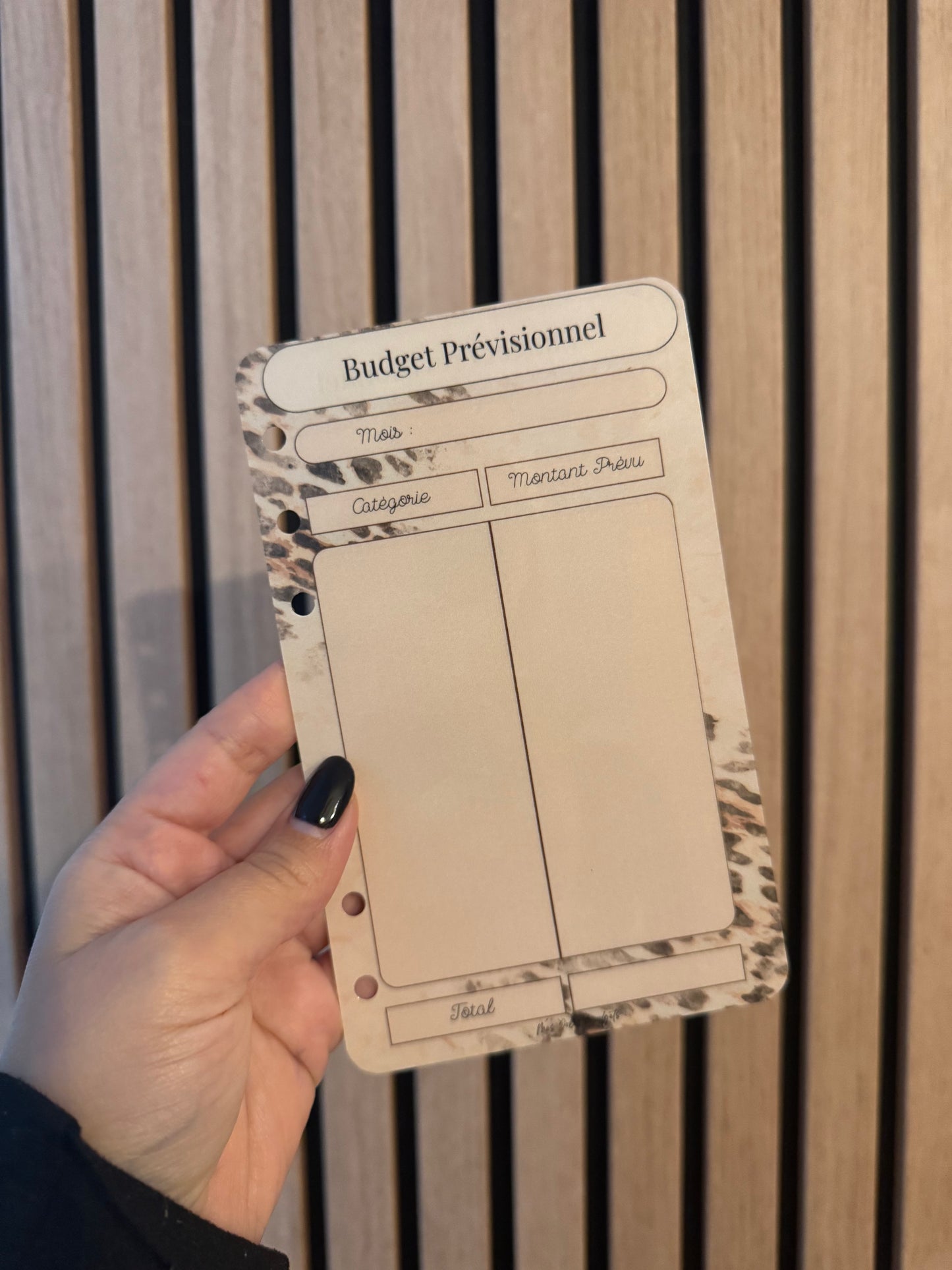 Budget prévisionnel recto verso A6 - Léopard