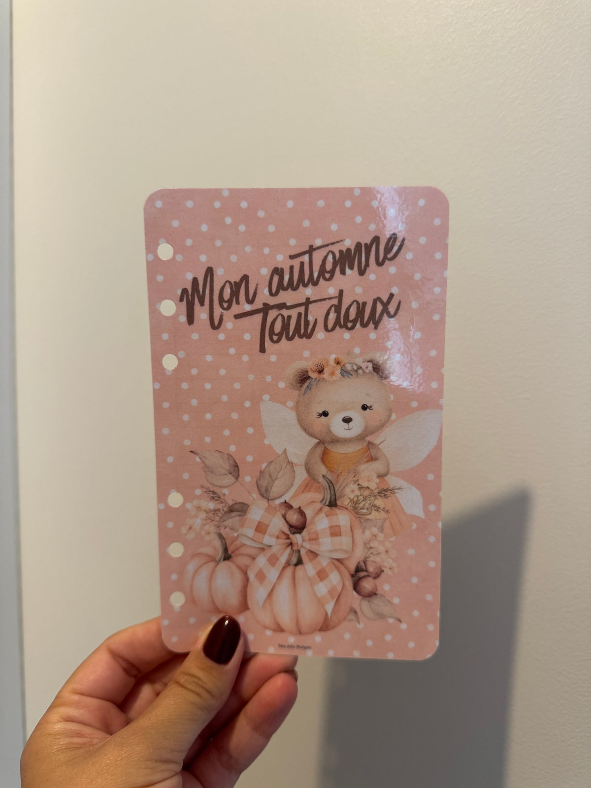 Lot de fiches budget A6 - Mon automne tout doux 🍁
