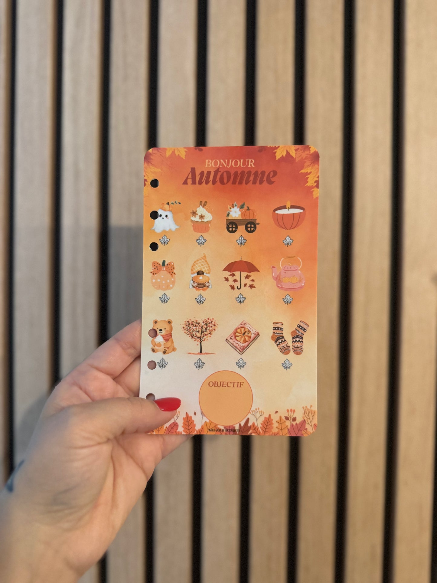 Défi Budgétaire des 4 saisons 🌸🍂❄️☀️