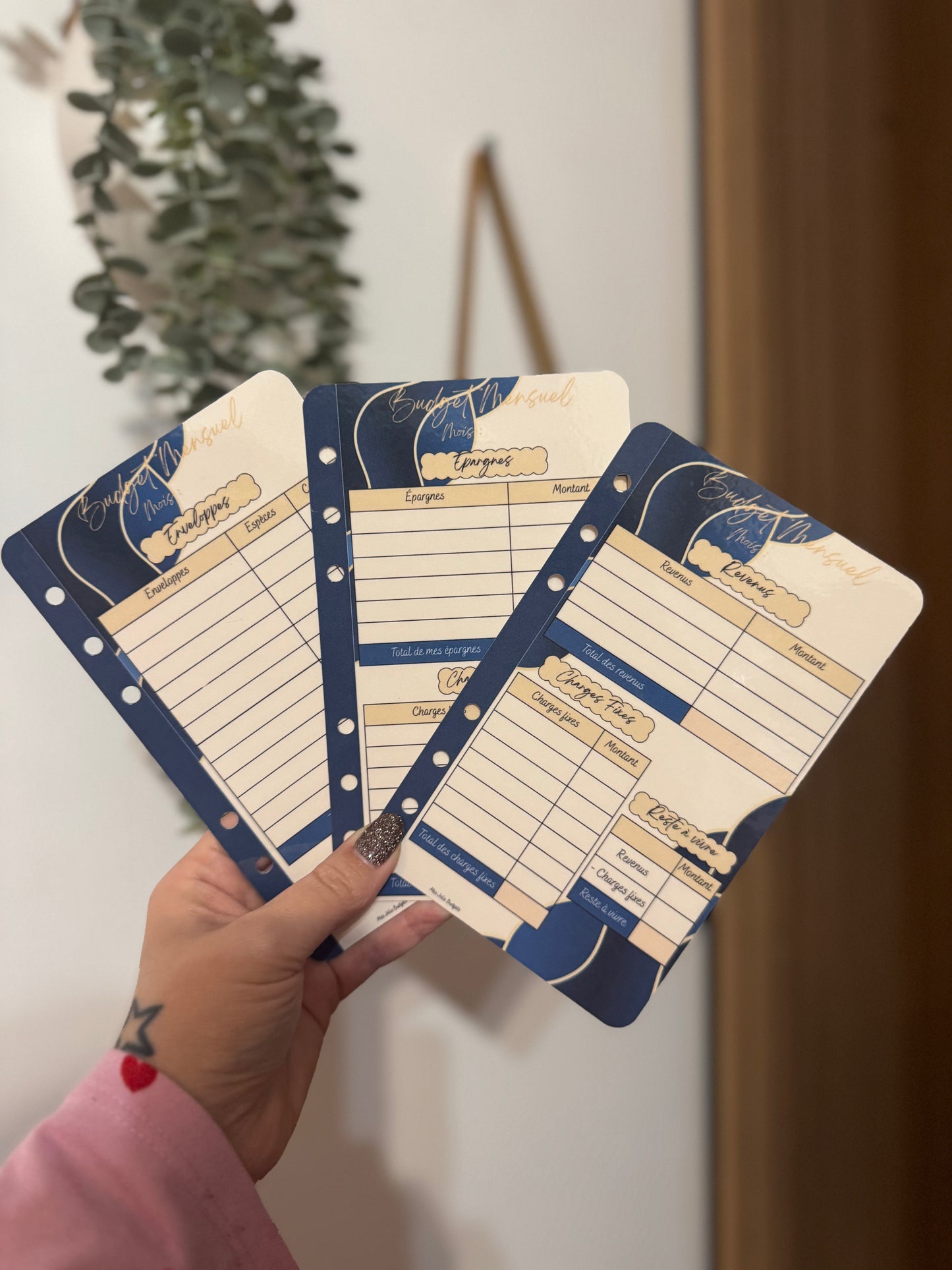 3 fiches budgétaires « Bleu & Douceur »