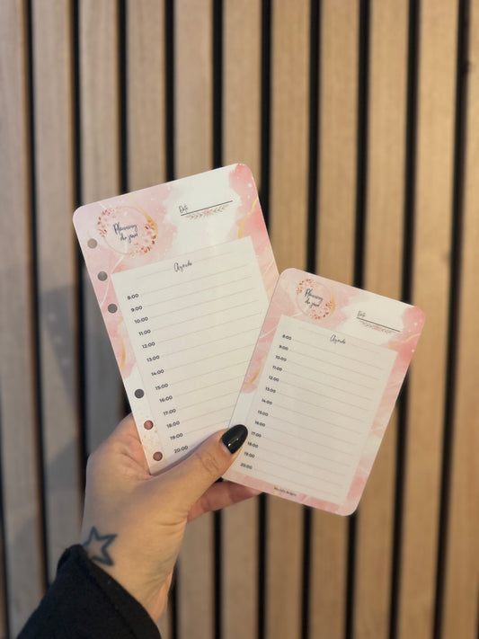 Fiche « Mon Planning du jour »