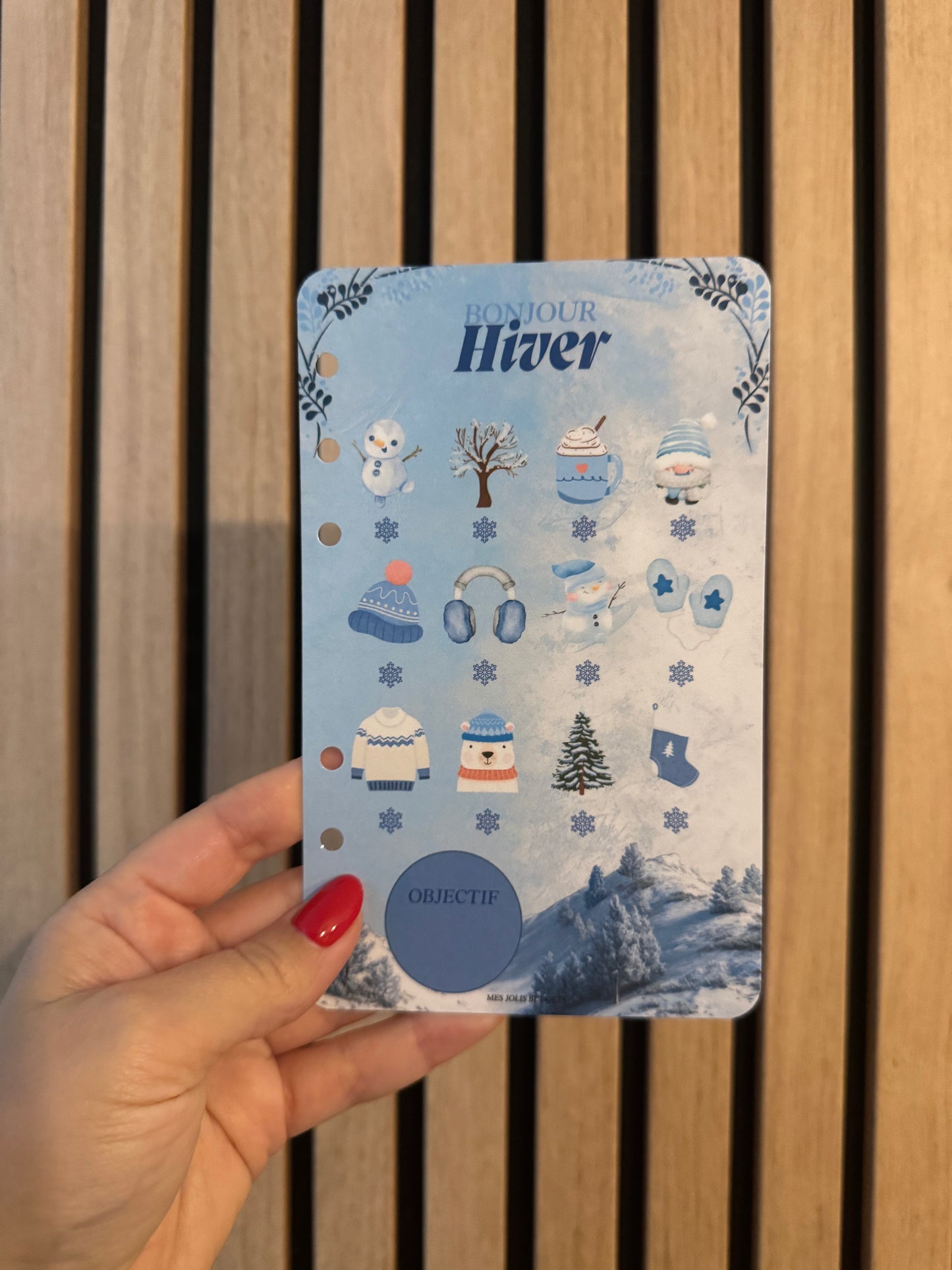 Défi Budgétaire des 4 saisons 🌸🍂❄️☀️